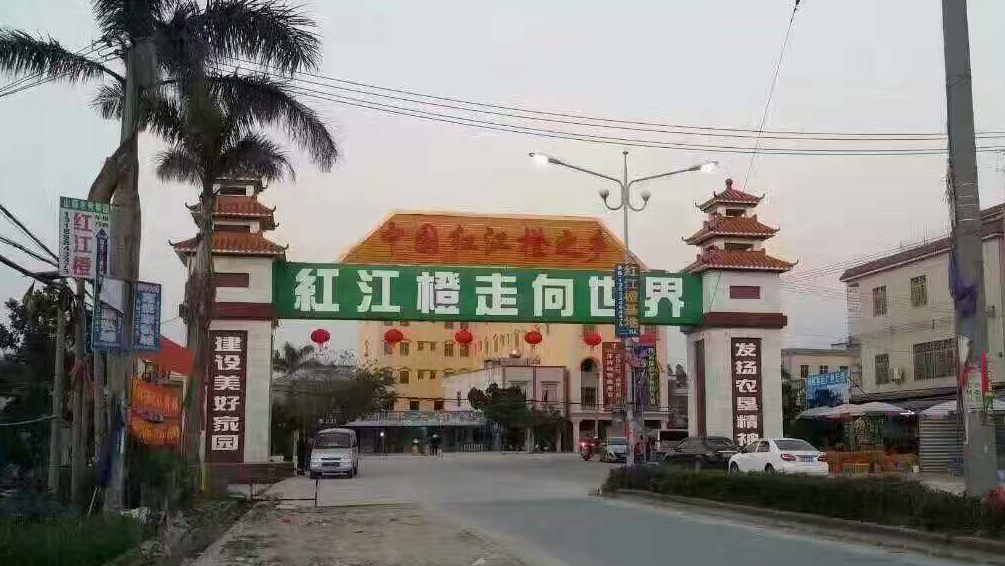 红橙节